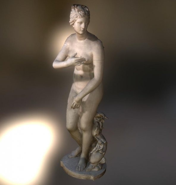 Venüs Medici Plastik Aparat
