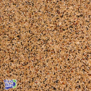 T-Bird Karışık Kanarya Yemi 1 Kg