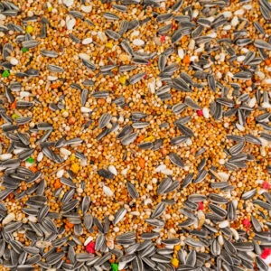 T-Bird Papağan Yemi 1 Kg