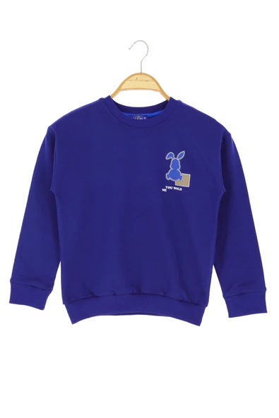 Erkek Çocuk Sweatshirt Tavşanlı