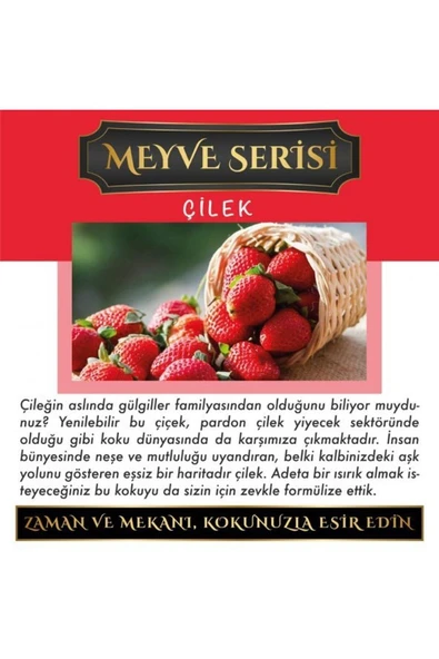 Meczub Meyve Serisi Çilek 10 Adet 10 ml Üçgen Şişe Oto Kokusu Araç Araba Parfümü