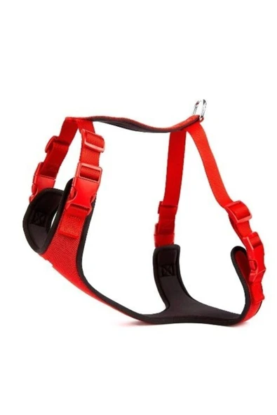 Doggie Kırmızı Softlu Siyah Köpek Bel Tasması - Resim 2