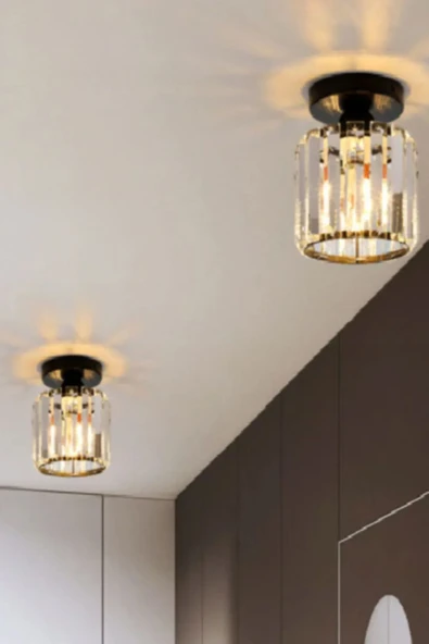 Luna Lighting Luxury Siyah Plafonyer Avize - 3