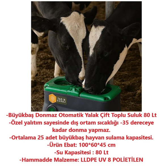 Büyükbaş Donmaz Otomatik Yalak Çift Toplu Suluk - 2