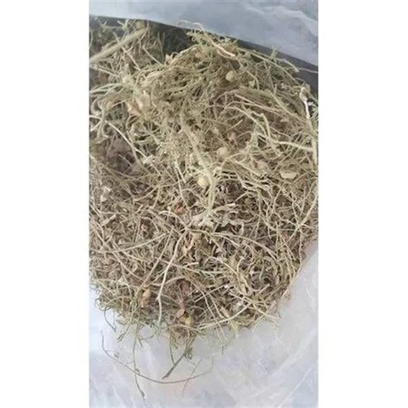 Göz Otu- (Kafa Otu) Gözlük Otu 100 Gr-2 Adet - 5