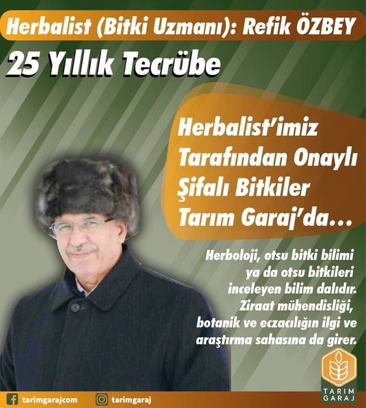 Göz Otu- (Kafa Otu) Gözlük Otu 100 Gr-2 Adet - 8