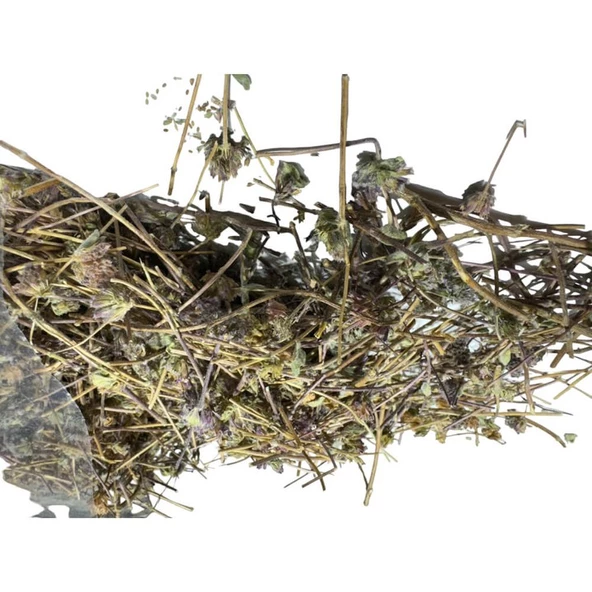 Göz Otu- (Kafa Otu) Gözlük Otu 100 Gr-2 Adet - 3