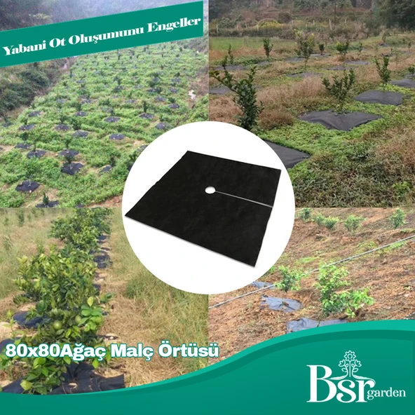 Ağaç Taban Örtüsü 80x80 10 Adet Bsr Garden - 3