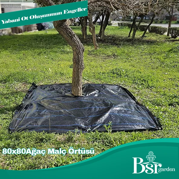 Ağaç Taban Örtüsü 80x80 10 Adet Bsr Garden - 2