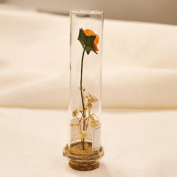 Dekoratif Cam Tüp Mantar Tıpalı Mini Çiçekli Hediyelik 9cm (20) - 2