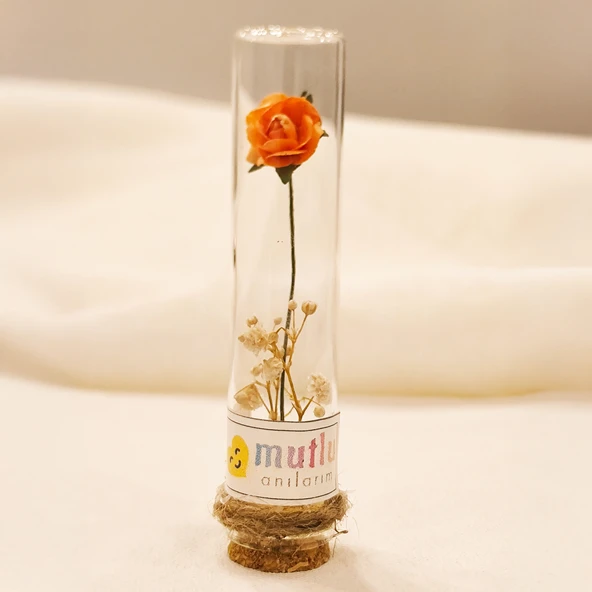 Dekoratif Cam Tüp Mantar Tıpalı Mini Çiçekli Hediyelik 9cm (20)