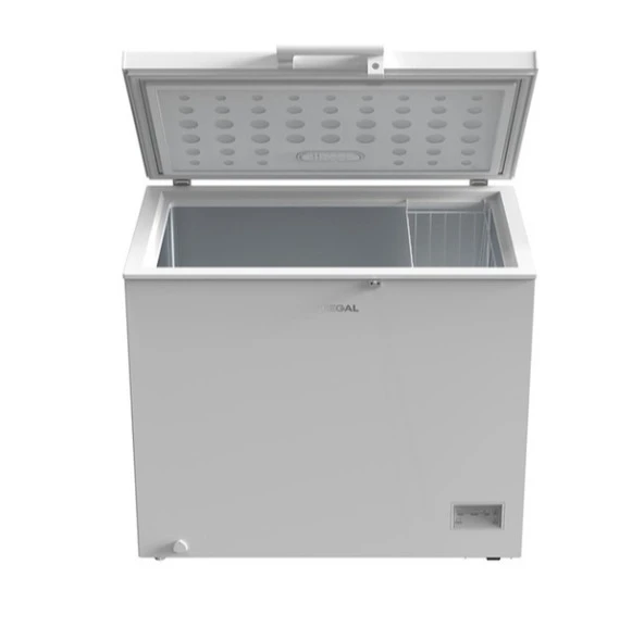 Regal SD Dual 3021 Sandık Tipi Derin Dondurucu - 4