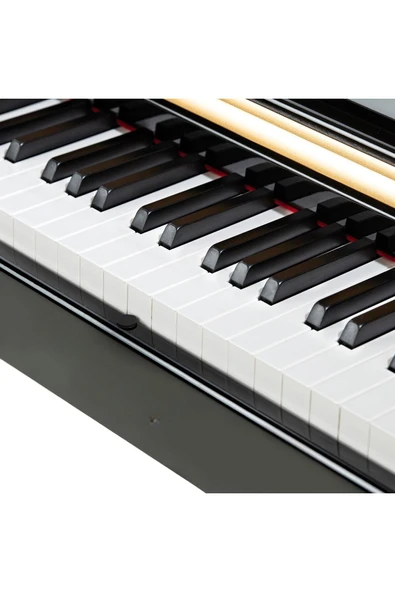 Dijital Piyano Winchestr Model 4952 88 Tuşlu 15W 128 Polyphony Müzik Tutkunları için Özel Seçim - 5