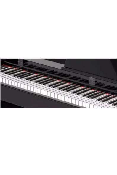 Dijital Piyano Winchestr Model 4927 88 Tuşlu Çekiç Aksiyonlu 3D Stereo - 3