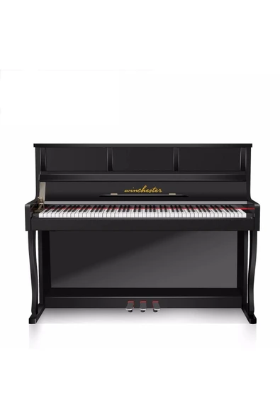 Wdp 4965 Dijital Akustik Piyano