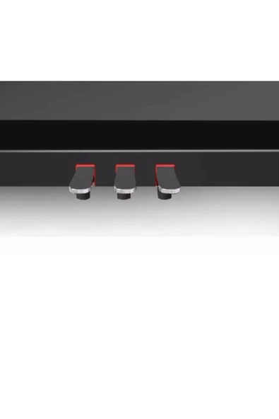 Dijital Piyano Winchestr Model 4927 88 Tuşlu Çekiç Aksiyonlu 3D Stereo - 2