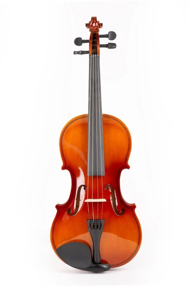 Vl-044p Başlangıç Kemanı 4/4 Tam Boy (PARLAK) - 12 Yaş Ve Üzeri - 2