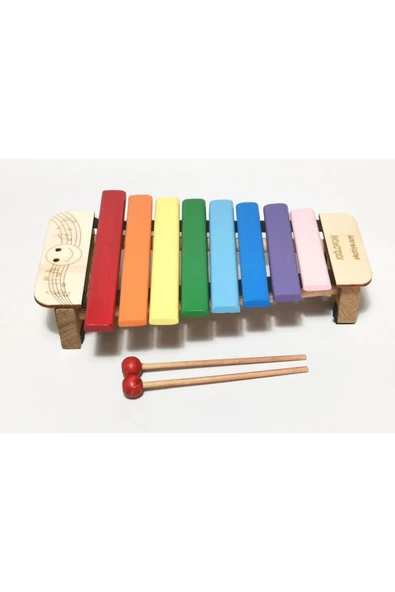 DSR8 Soprano Renkli Ksilofon – Renkli ve Eğitici Müzikal Deneyim - Kselofon - Xylophone - 2