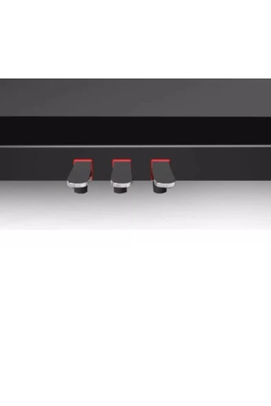 Dijital Piyano Winchestr Model 4935 88 Tuşlu Çekiç Aksiyonlu - 2