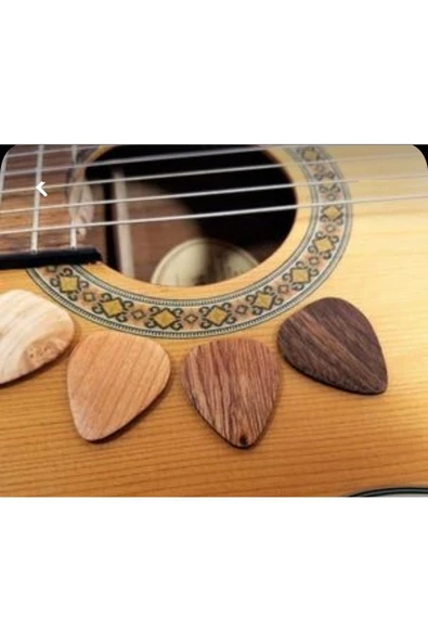 Profesyonel Yüksek Korumalı Klasik Gitar Kılıfı Çanta Gigbag Siyah Softcase Pandura - 5