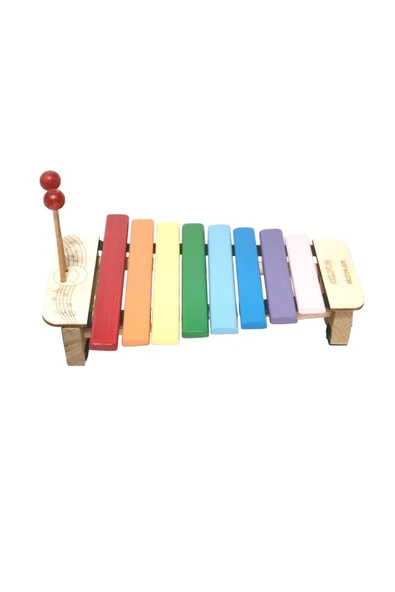 DSR8 Soprano Renkli Ksilofon – Renkli ve Eğitici Müzikal Deneyim - Kselofon - Xylophone - 7