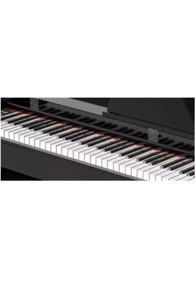 Dijital Piyano Winchestr Model 4935 88 Tuşlu Çekiç Aksiyonlu - 3