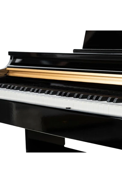 Dijital Piyano Winchestr Model 4952 88 Tuşlu 15W 128 Polyphony Müzik Tutkunları için Özel Seçim - 4