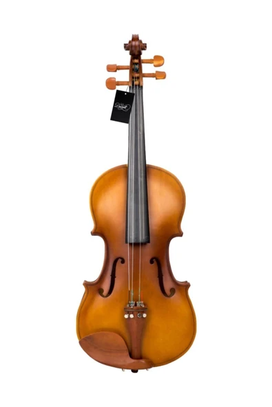 Keman Gül 4/4 Tam Boy - 3
