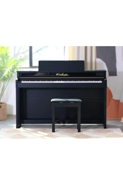 Winchester S300 Dijital Piyano