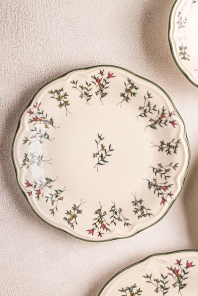 Snippy Khaki - 24 Parça 6 Kişilik Porselen Yemek Takımı Kenarları Silik Vintage Tuval Model Porselen Tabak - 5