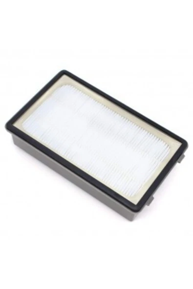 Ro 3751 Compact Power Cyclonic Uyumlu Hepa Filtre ürün görseli