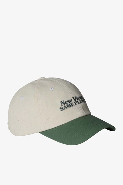 The North Face Norm Unisex Yeşil Şapka NF0A7WHOALO1