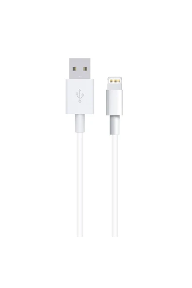NT-20 Plastik 100 Cm Lightning Şarj ve Data Kablosu