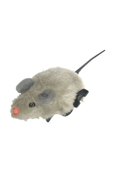 Toys  Kedi Oyuncağı