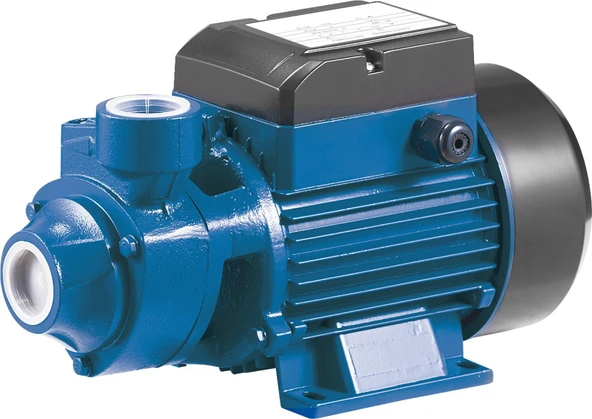 Rainpump Santrifüj Pompa 1  QB80-1HP