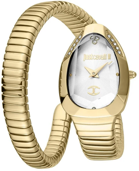 Just Cavalli JC1L208M0035 Kadın Kol Saati ürün görseli