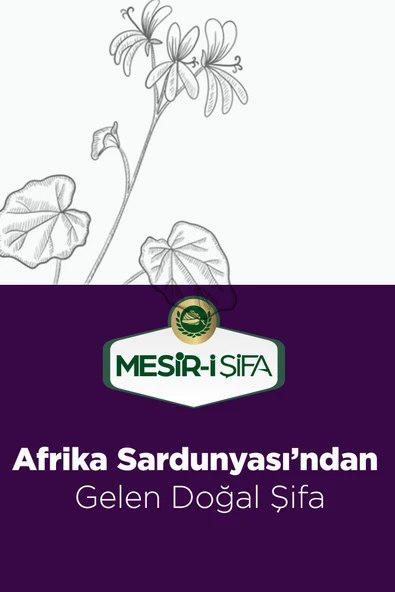 Mesir-i Şifa Afrika Sardunyası Macunu Ginseng Arı Sütü Propolis Zufa Geven Besbase Zencefil Ekstreli Macun 240g - 5