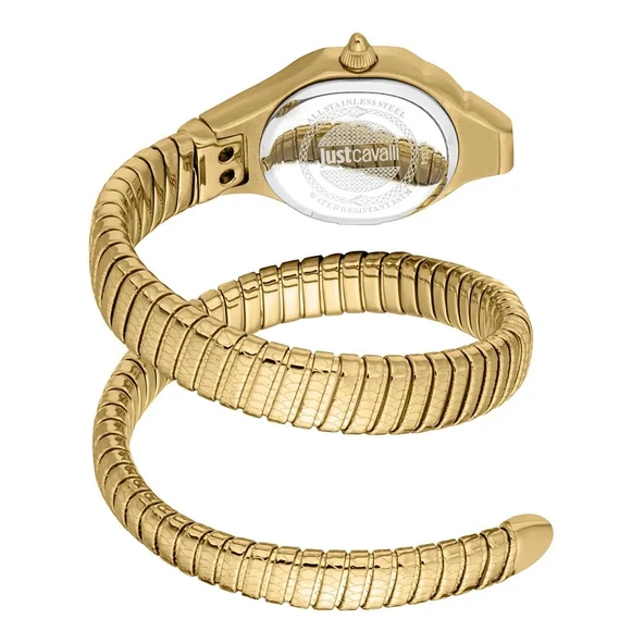 JUST CAVALLI JC1L354M0035 Kadın Kol Saati - Resim 2