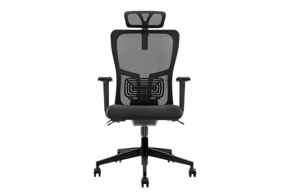 Decofis Lumbar Plus Fileli Yönetici Koltuğu