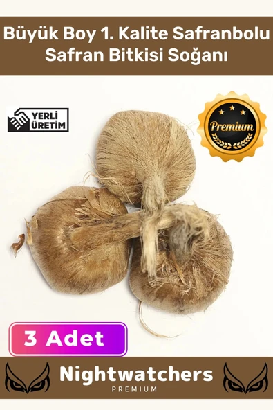 Deluxe Özel Dikime Hazır Yerli Üretim Büyük Boy 1. Kalite Safranbolu Safran Bitkisi Soğanı - 3 Adet