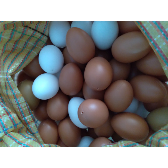 Sahte Tavuk Yumurtası 10 Adet