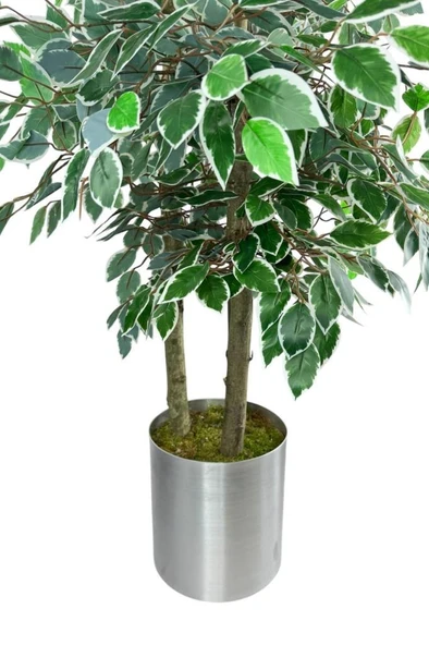 Nettenevime Yapay Ağaç 3 Katlı Yeşil-Beyaz Benjamin 180cm Yapay Çiçek Dekoru - Resim 5