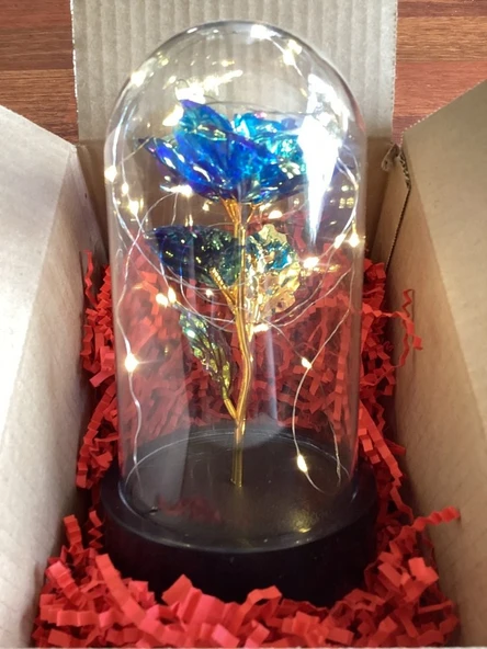 Brokoli Home Fanus Içerisinde Dekoratif Sonsuzluk Gülü , Anneler Günü , sevgililer Günü , Hediyelik - 4