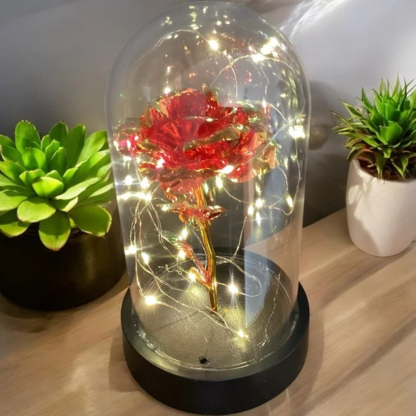 Brokoli Home Fanus Içerisinde Dekoratif Sonsuzluk Gülü , sevgililer Günü , Anneler Günü , Hediyelik - 3