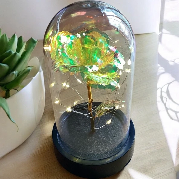 Brokoli Home Fanus Içerisinde Dekoratif Sonsuzluk Gülü , Anneler Günü , sevgililer Günü , Hediyelik - 5