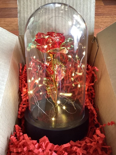 Brokoli Home Fanus Içerisinde Dekoratif Sonsuzluk Gülü , sevgililer Günü , Anneler Günü , Hediyelik - 2