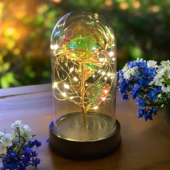 Brokoli Home Fanus Içerisinde Dekoratif Sonsuzluk Gülü , Anneler Günü , sevgililer Günü , Hediyelik