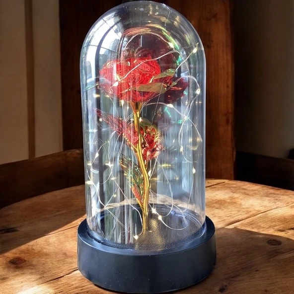 Brokoli Home Fanus Içerisinde Dekoratif Sonsuzluk Gülü , sevgililer Günü , Anneler Günü , Hediyelik - 4