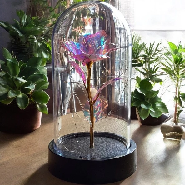 Brokoli Home Fanus Içerisinde Dekoratif Sonsuzluk Gülü , sevgililer Günü , Hediyelik Anneler Günü - 4