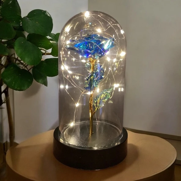 Brokoli Home Fanus Içerisinde Dekoratif Sonsuzluk Gülü , Anneler Günü , sevgililer Günü , Hediyelik - 2